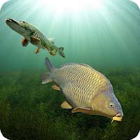Cover Image of 3DCARP 10.6 Apk for Android