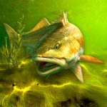 Cover Image of My Fishing World v1.15.109 MOD APK (Free Purchase, VIP)